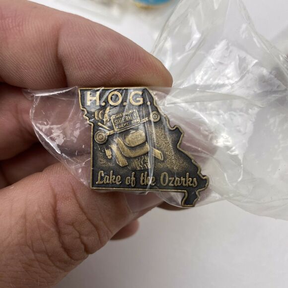 Harley Davidson Owners Group Lot Of 14 Rally & Motorcycle Club Pins HOG Pins - Picture 8 of 12